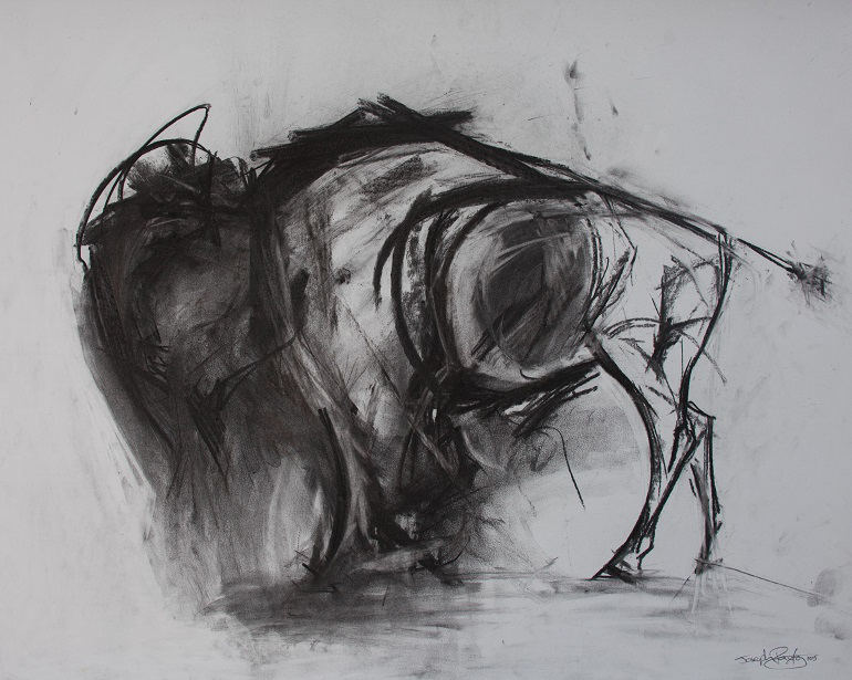 Paxton's buffalo sketch