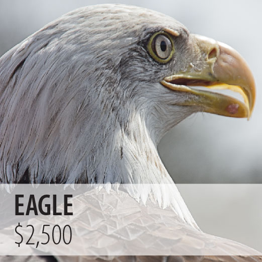 *Eagle $2,500