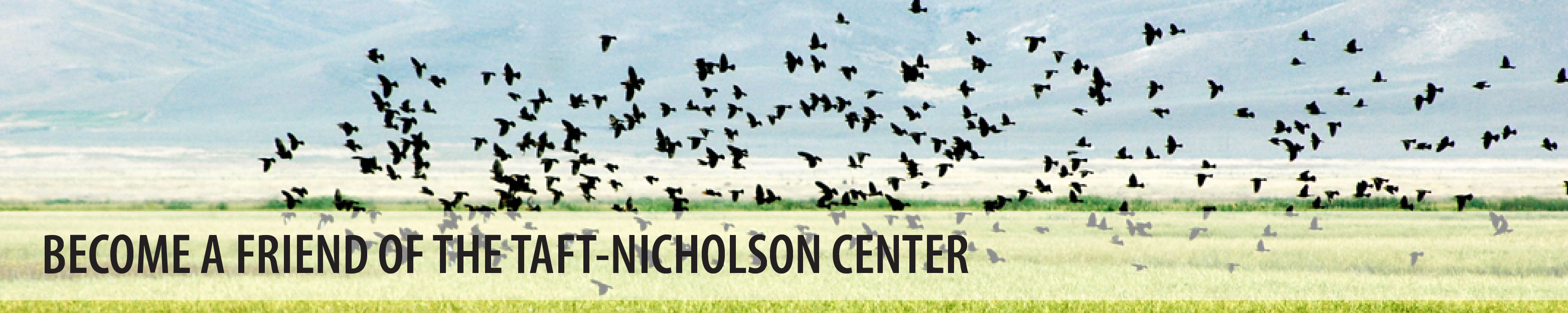Become a Friend of the Taft-Nicholson Center