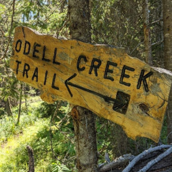 trail sign