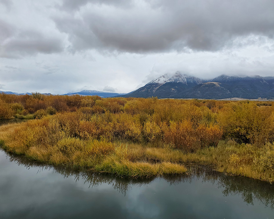 Mountain meadow showing of fall foliage