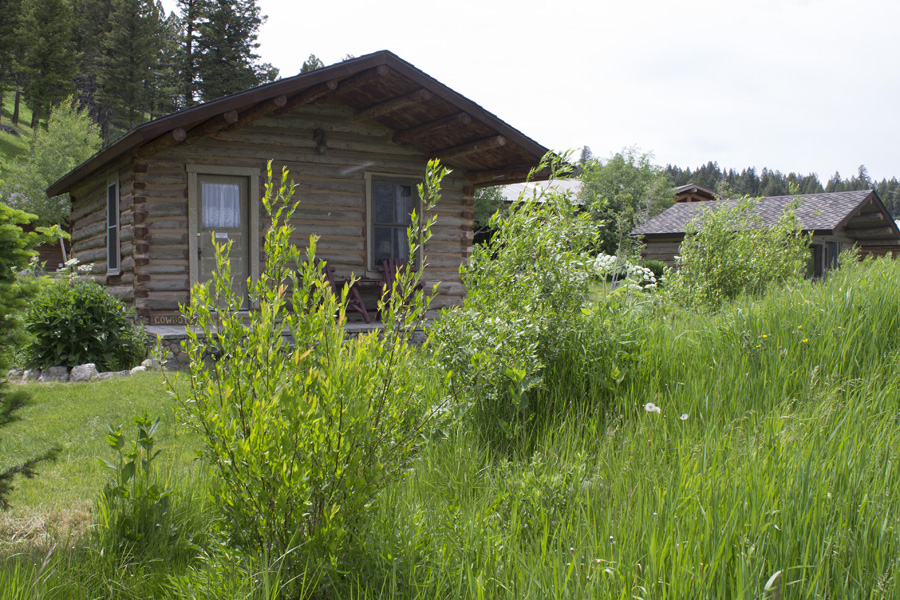 Rustic Cabins