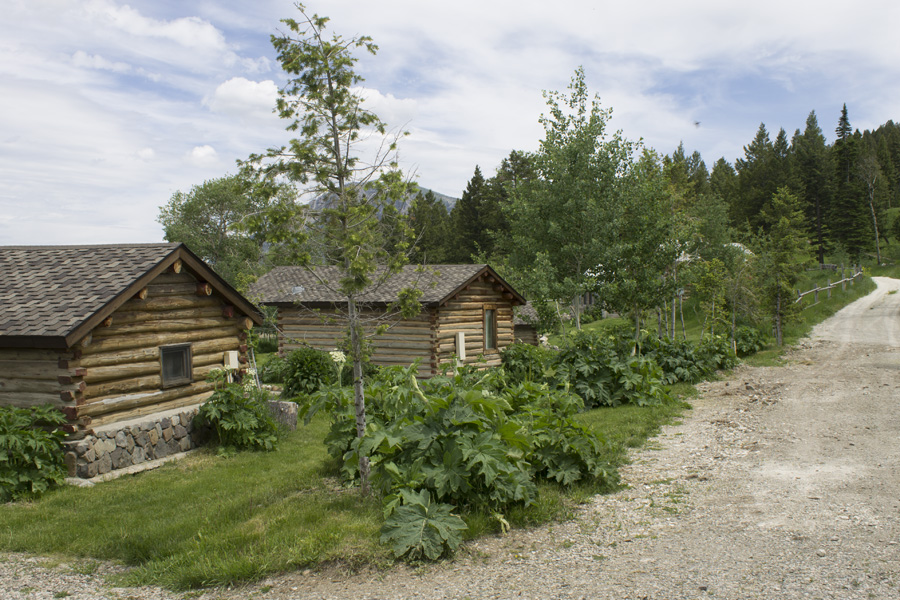 Rustic Cabins